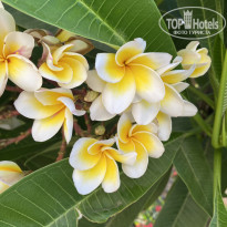 фото из отзыва ID 2698004