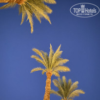 фото из отзыва ID 2698004