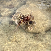 фото из отзыва ID 2698004