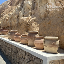 фото из отзыва ID 2698004