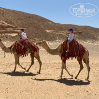 фото из отзыва ID 2698004