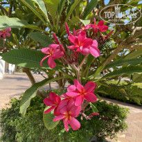 фото из отзыва ID 2698004