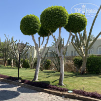 фото из отзыва ID 2698004