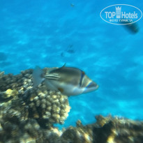 фото из отзыва ID 2698004