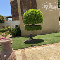 фото из отзыва ID 2698004