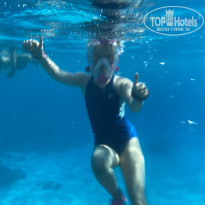 фото из отзыва ID 2698004