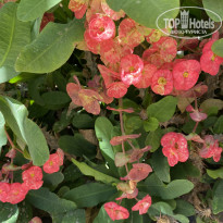 фото из отзыва ID 2698004