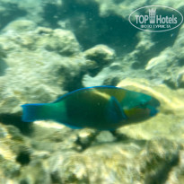 фото из отзыва ID 2698004