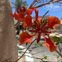 фото из отзыва ID 2698004