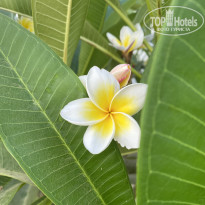 фото из отзыва ID 2698004