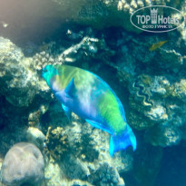 фото из отзыва ID 2698004