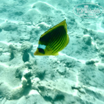 фото из отзыва ID 2698004