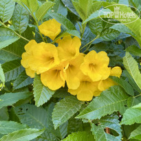 фото из отзыва ID 2698004