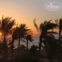 фото из отзыва ID 2698054