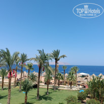 фото из отзыва ID 2698054