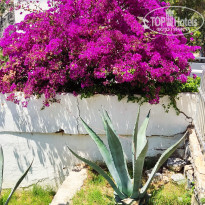 фото из отзыва ID 2698075