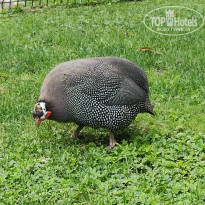 фото из отзыва ID 2698095