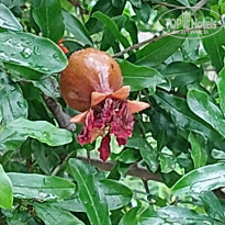 фото из отзыва ID 2698112
