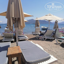 фото из отзыва ID 2698133