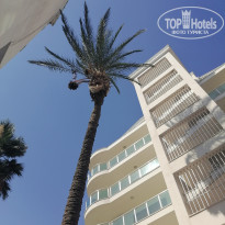 фото из отзыва ID 2698133