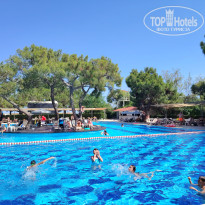 фото из отзыва ID 2698190