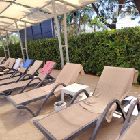 фото из отзыва ID 2698190