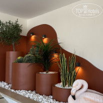 фото из отзыва ID 2698205