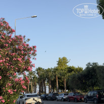 фото из отзыва ID 2698205