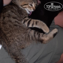 фото из отзыва ID 2698228