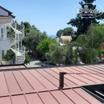 фото из отзыва ID 2698228