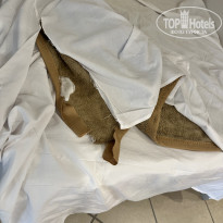 фото из отзыва ID 2698246