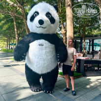 фото из отзыва ID 2698259