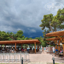 фото из отзыва ID 2698285