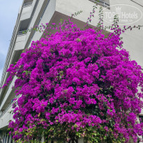 фото из отзыва ID 2698285