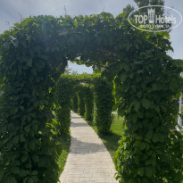 фото из отзыва ID 2698294