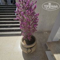 фото из отзыва ID 2698296