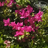 фото из отзыва ID 2698296