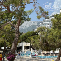 фото из отзыва ID 2698337