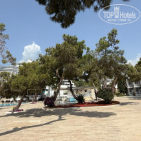 фото из отзыва ID 2698337