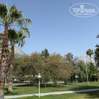 фото из отзыва ID 2698337