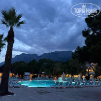 фото из отзыва ID 2698337