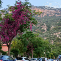 фото из отзыва ID 2698349