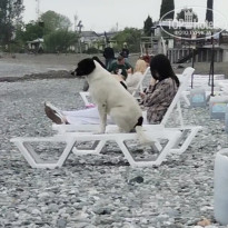 фото из отзыва ID 2698378