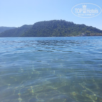 фото из отзыва ID 2698393