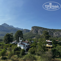 фото из отзыва ID 2698425