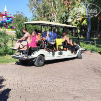 фото из отзыва ID 2698430