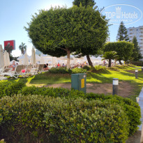 фото из отзыва ID 2698430