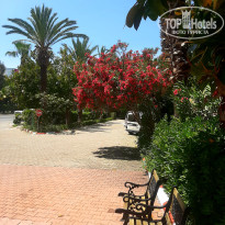 фото из отзыва ID 2698451