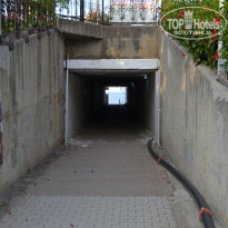 фото из отзыва ID 2698458