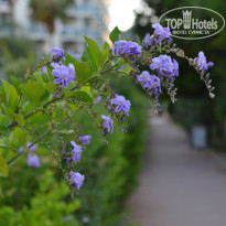 фото из отзыва ID 2698458